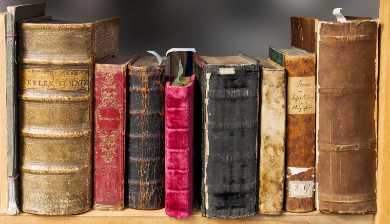 librairie-GUILLAUMES-min_book-1659717