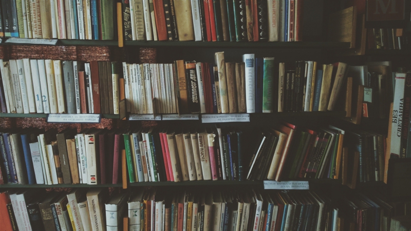 librairie-GUILLAUMES-min_bookcase-1869616